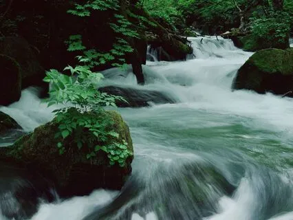 The River: Chap 4 - Lover's Run | Story & Reflection