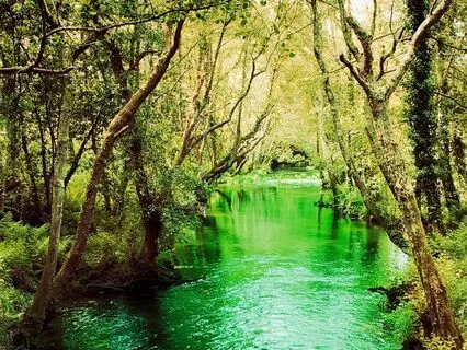 The River: Chap 5 - Dry Gulch | Story & Reflection