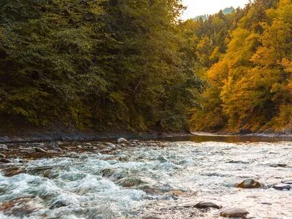 The River: Chap 9 - The Source | Story & Reflection