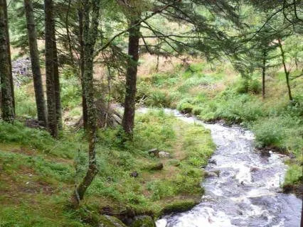 The River Inside: A Lymph Flow Meditation