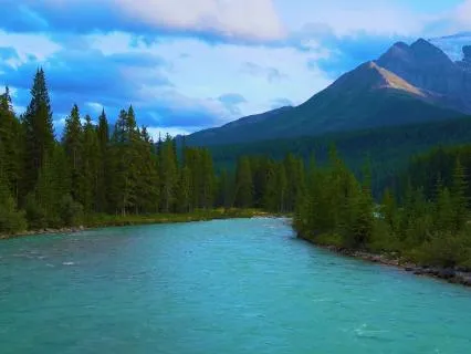 The River Journey | 15-Minute Meditation