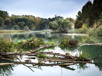 The River Of Creativity