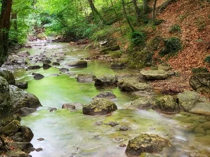 The River Of Letting Go Meditation 