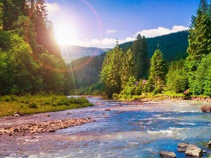 Meditation For Sleep: The River Of Life