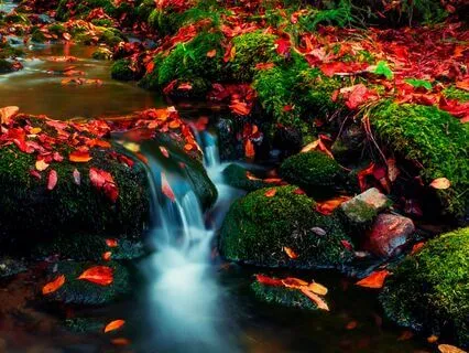 The River Of Sensations: Dissolving The Illusion Of Solidity