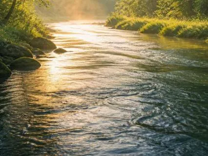 The River Remembers: A Gentle Meditation For Grief