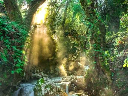 The River Within: Return To Your Ancient Wisdom