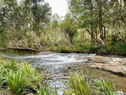The River