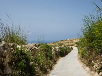 The Road Home: A Short Reflection