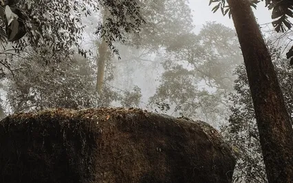 The Rock - Sleep Story