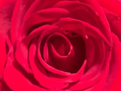 The Root Chakra At Mt. Shasta