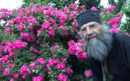 The Root That Upholds You