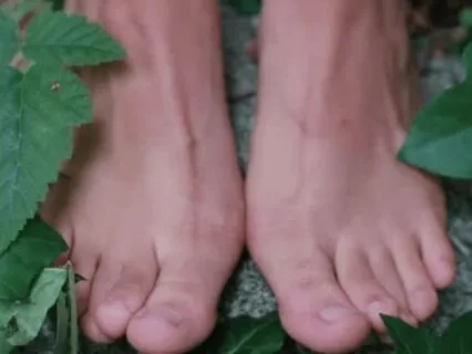 The Rooted Gratitude Practice