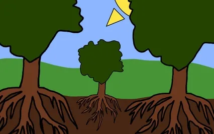 The Roots Of The Tree 