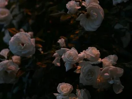 The Rose Garden At Night: Depths Of The Heart