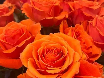 The Sacral Chakra Of The Earth; Lake Titicaca