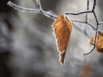 The Sacrament Of Letting Go: A Meditation For When Summer Gives Way To Autumn