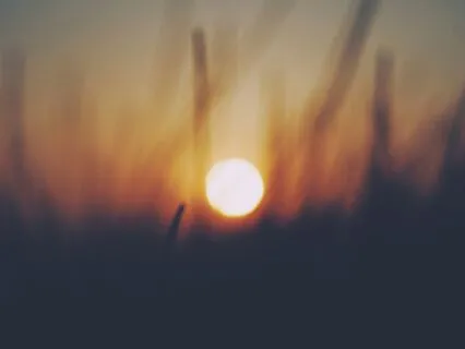 The Sacred Art Of Managing Up Without Losing Yourself