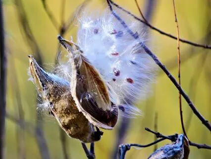 The Sacred Art Of Release, Letting Go, And Surrender