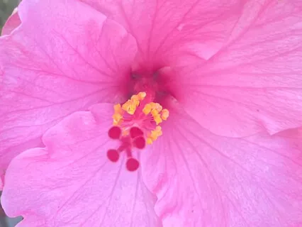 The Sacred Body Meditation