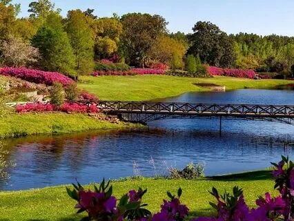 The Sacred Encounter: Releasing Control In Relationships