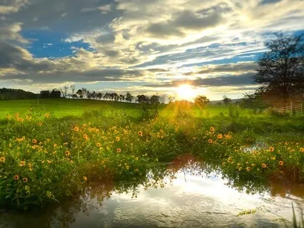 The Sacred Healing Of Noble Silence