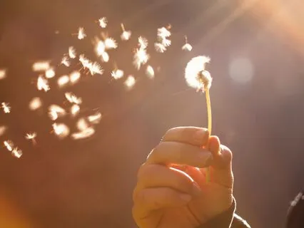 The Sacred Hum Of Aliveness: Letting The Breath Breathe You