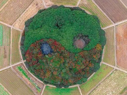 The Sacred Inner Dance Of Male And Female