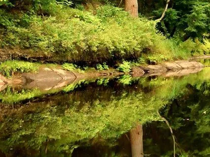 The Sacred Mirror: Why Your Child Chose You