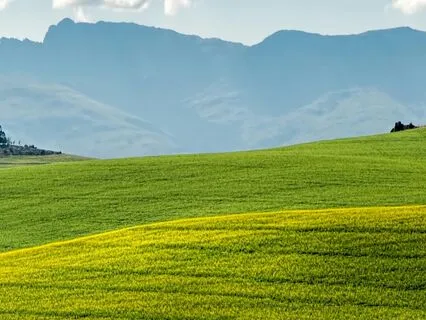 The Sacred Offering: Serving Without Attachment To Results