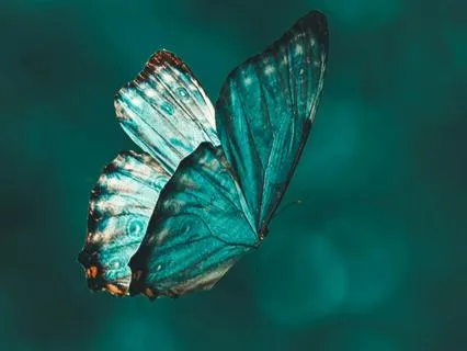 The Sacred Pause: Finding Peace When You Feel Stuck