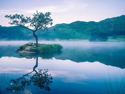 The Sacred Pause: The Stillness Between Each Breath