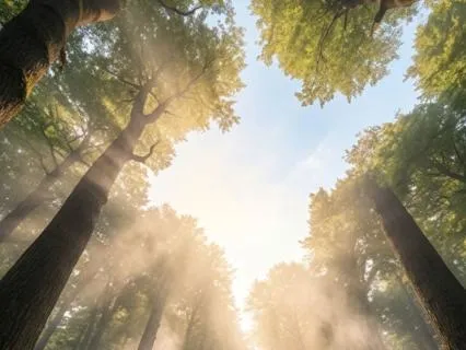 The Sacred Remembering — Reconnecting To Your Light Being