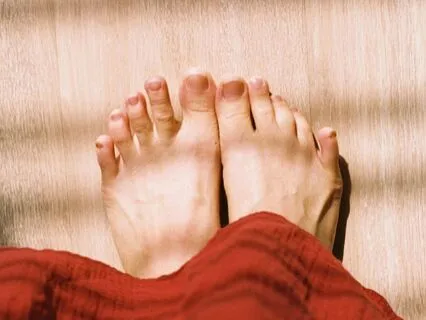 The Sacred Vision Of Home