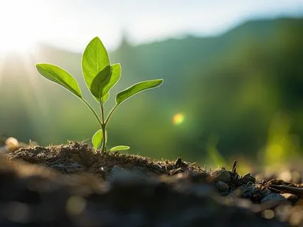 The Sacredness Of Food