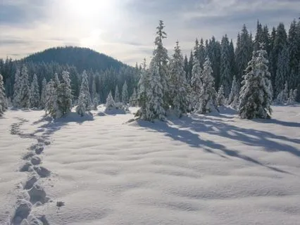 The Sacredness Of Slow