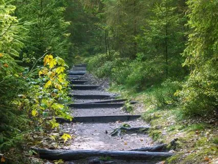 The Sacredness Of The Breath