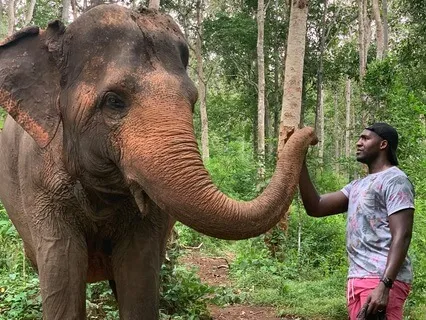 The Safe House- A Meditation To Help You Find Calm