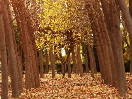 The Sands Of Time (Long Meditation Bedtime Story)