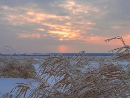 The Scaffolding: A Hybrid Meditation For The Nervous System