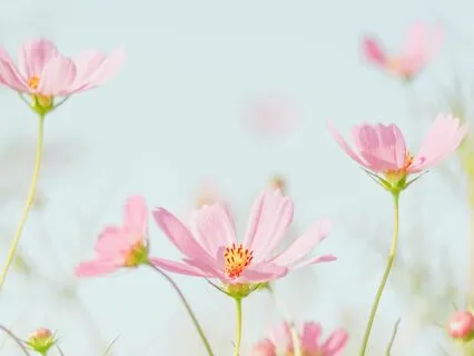 The Science of Self-Care