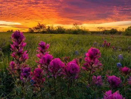 The Science Of Sleep (Sweet Dreams)