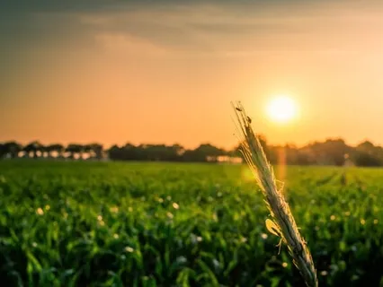 The Scientific Abundance Activator