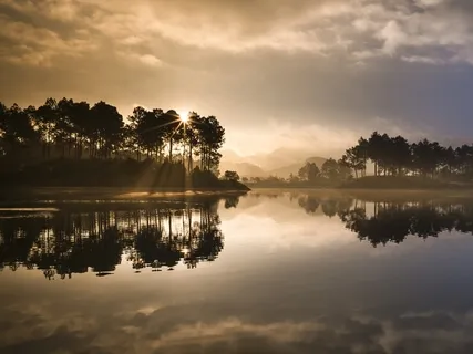 The Scientist - Coldplay (Cover)