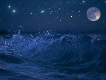 The Sea Of Sleep