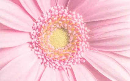 The Search For Relief Is Hiding The Truth