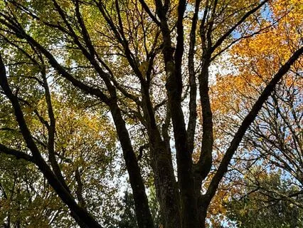 The Season Inside You