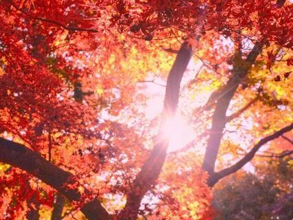 The Season Of Shared Light: Of Love And Connection