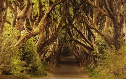 The Season Of Surrender