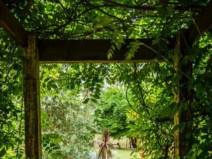 The Secret Garden Inside You – A Journey To Calm